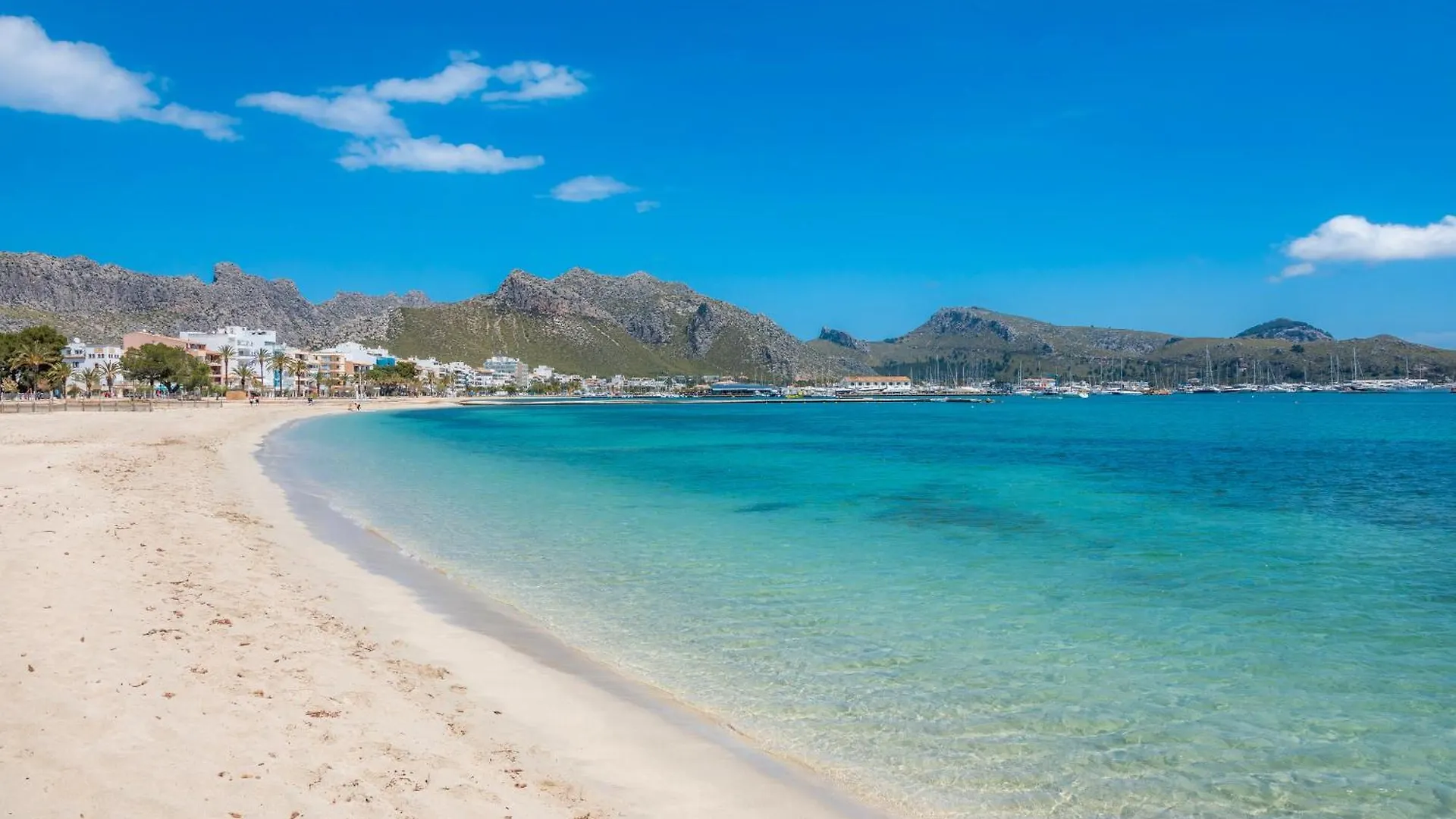 Planeta Mallorca Sea And Mountain Pollenca Apartment
